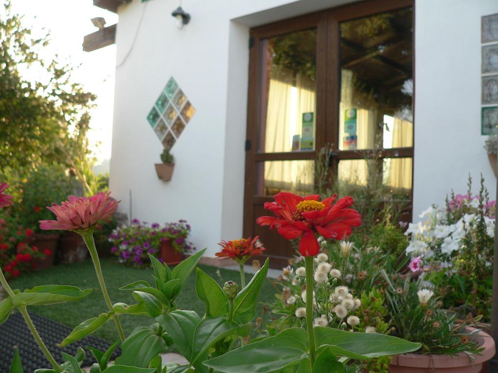 Agriturismo Sa Tanca Noa Tergu Exterior foto